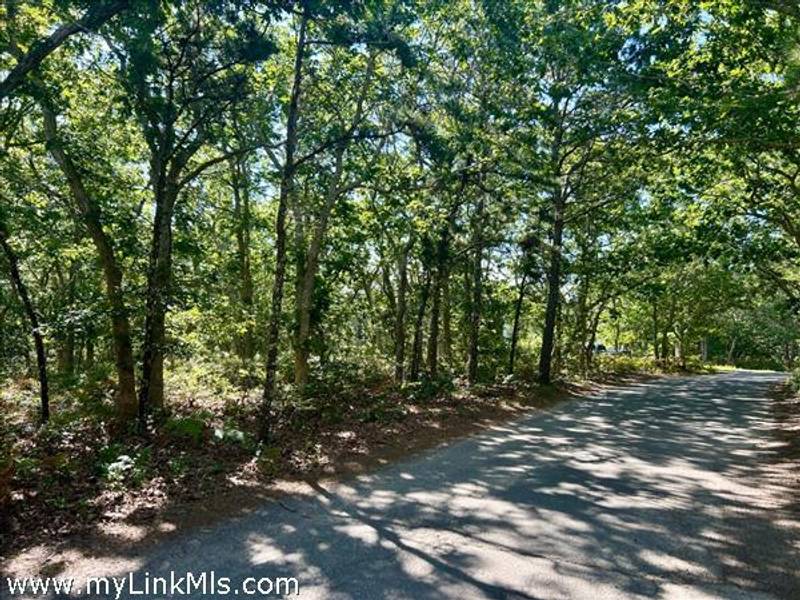 11 Boylston Drive  Edgartown