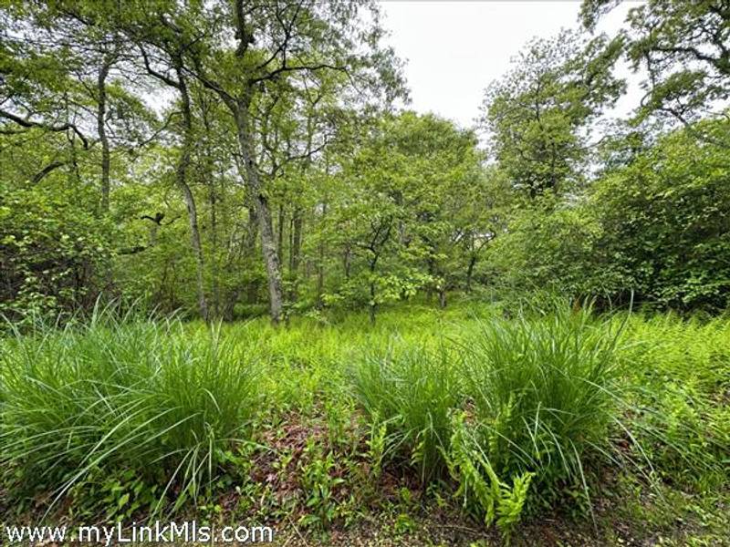 19A Locust Lane  Aquinnah