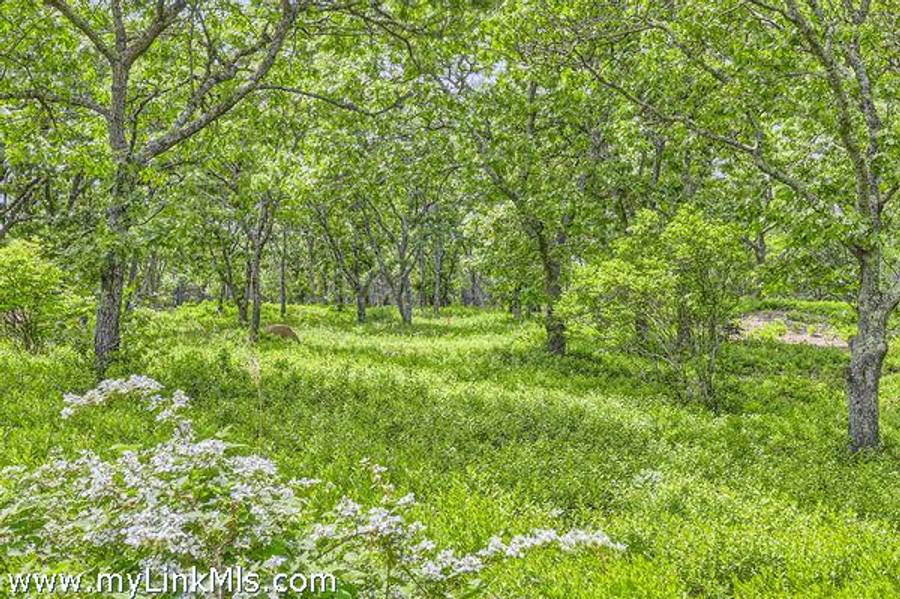 4- Cedar Lane  Chilmark