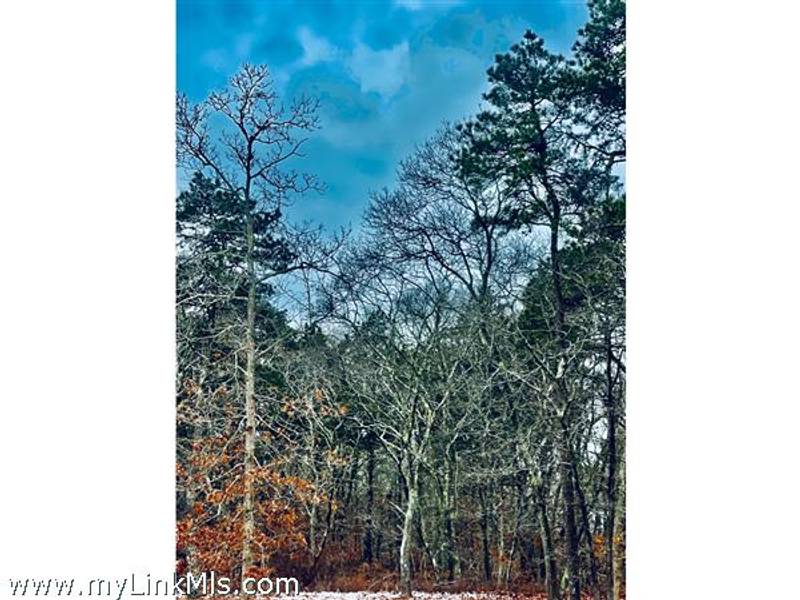 2 Old Farms Trail  Edgartown