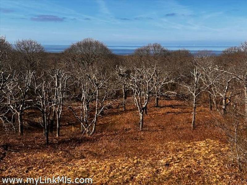 834 State Road  Aquinnah