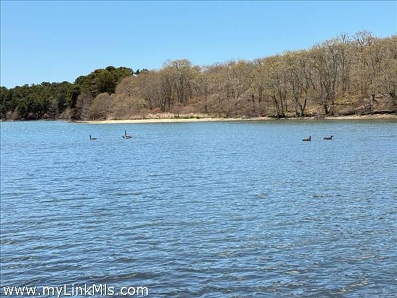82 Oyster Pond Road  Edgartown